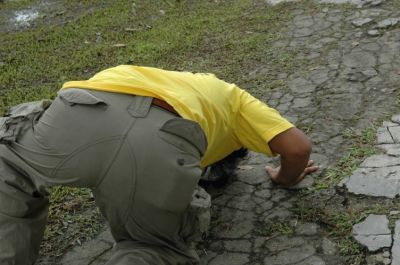 Gogok Sujud Cium Tanah Pekarangan Rumah No 228
