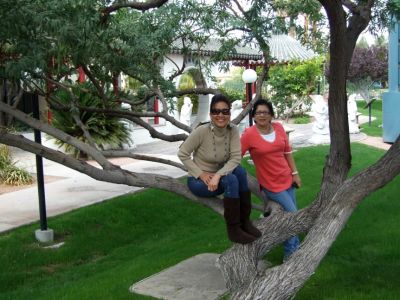 INGET WAKTU KECIK...NAEK POHON CERI...
