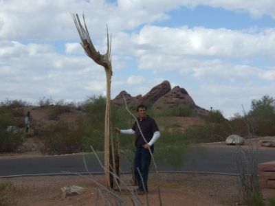 TULANG BATANG KAKTUS KERING...
